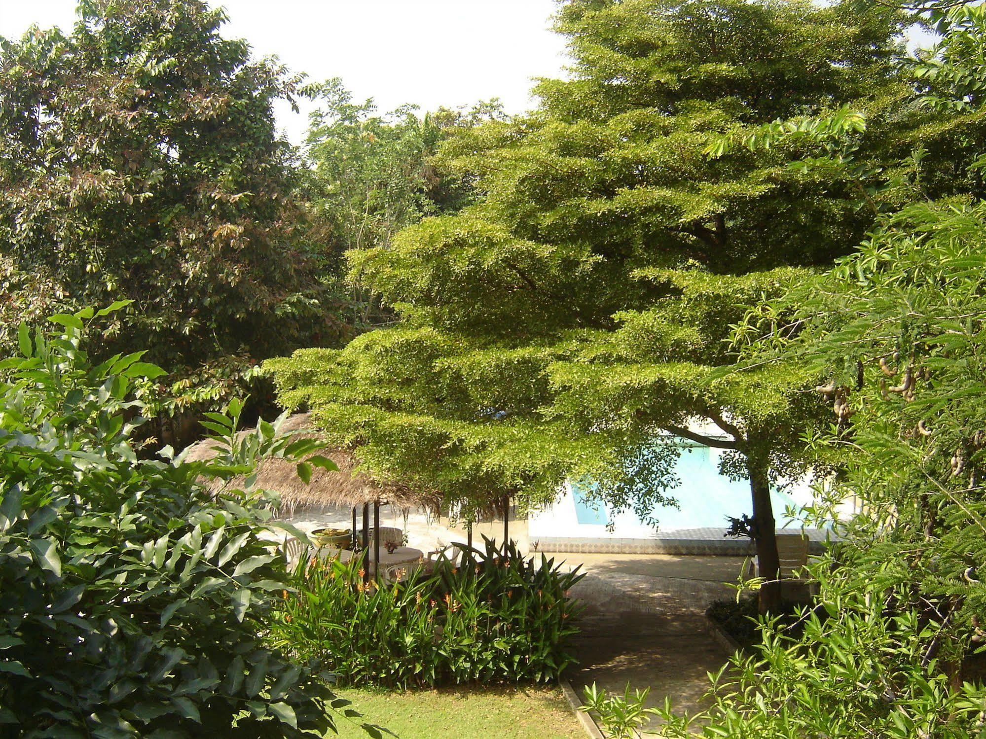Golden Cupids Hotel Chiang Mai Exterior foto